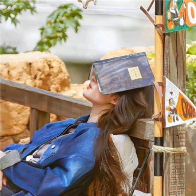 纸牌屋第三季
